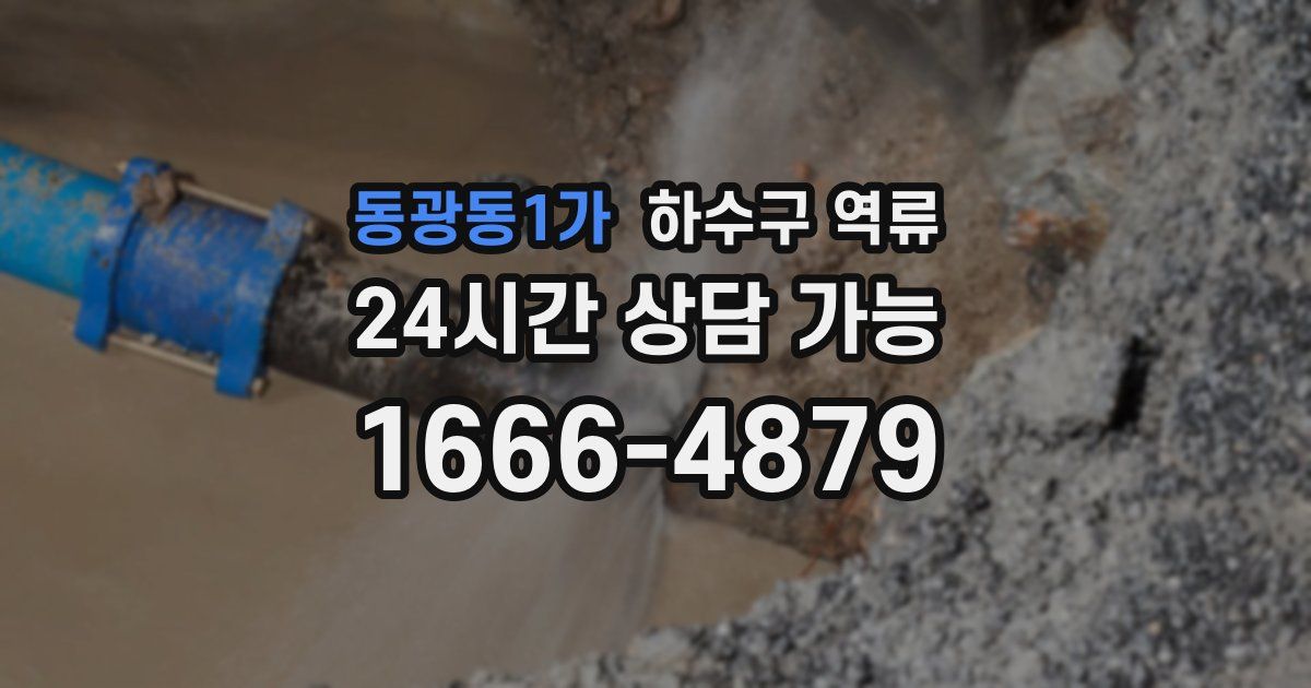 동광동1가 하수구 역류