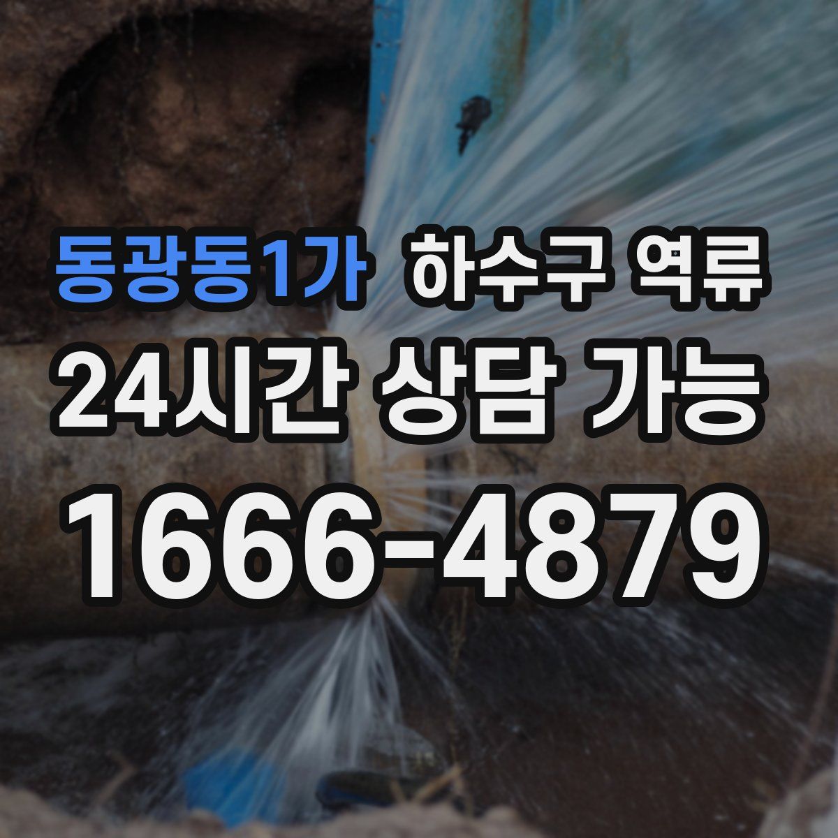 동광동1가 하수구 역류