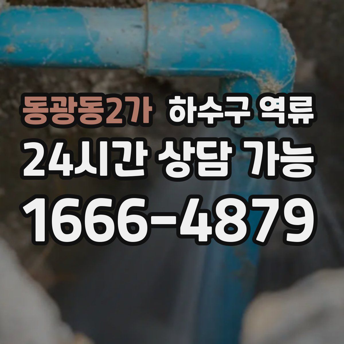 동광동2가 하수구 역류