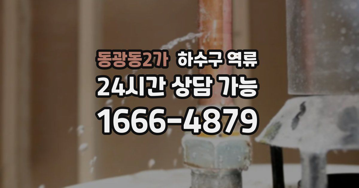 동광동2가 하수구 역류