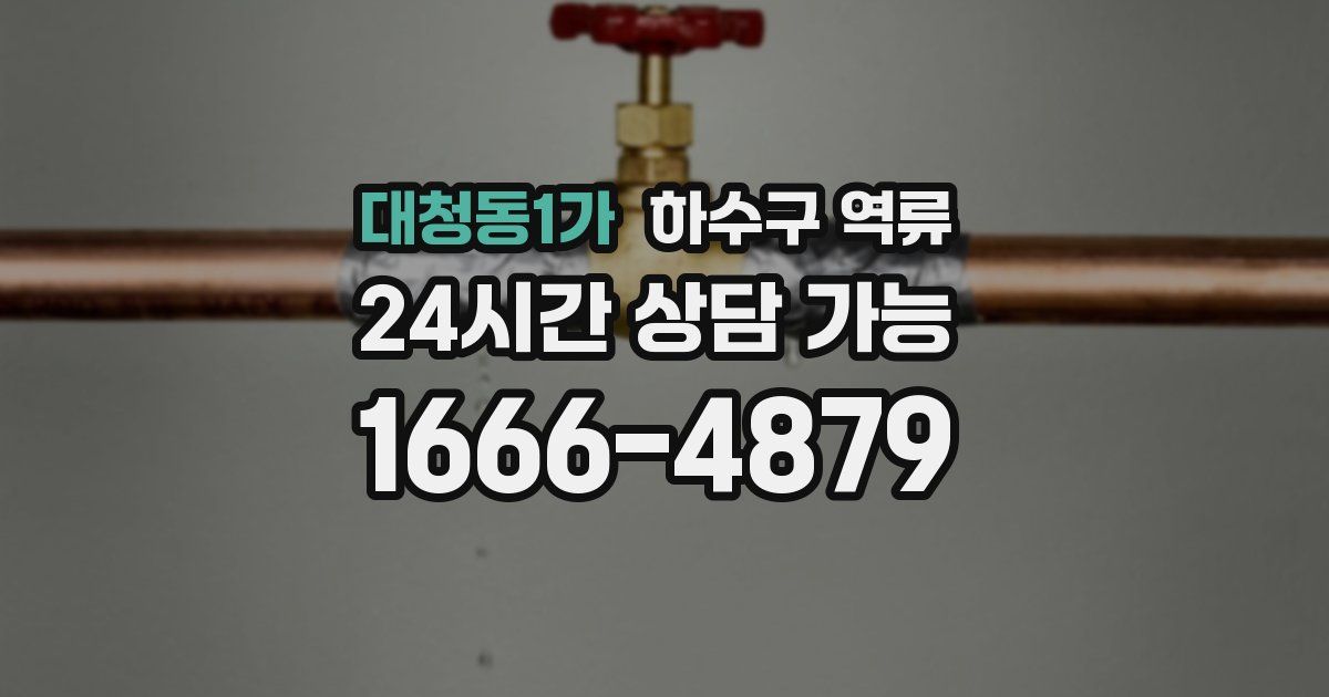 대청동1가 하수구 역류