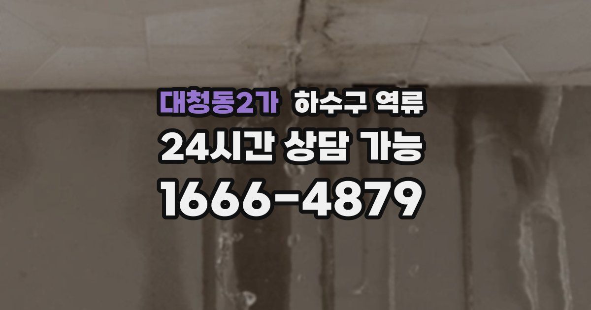 대청동2가 하수구 역류