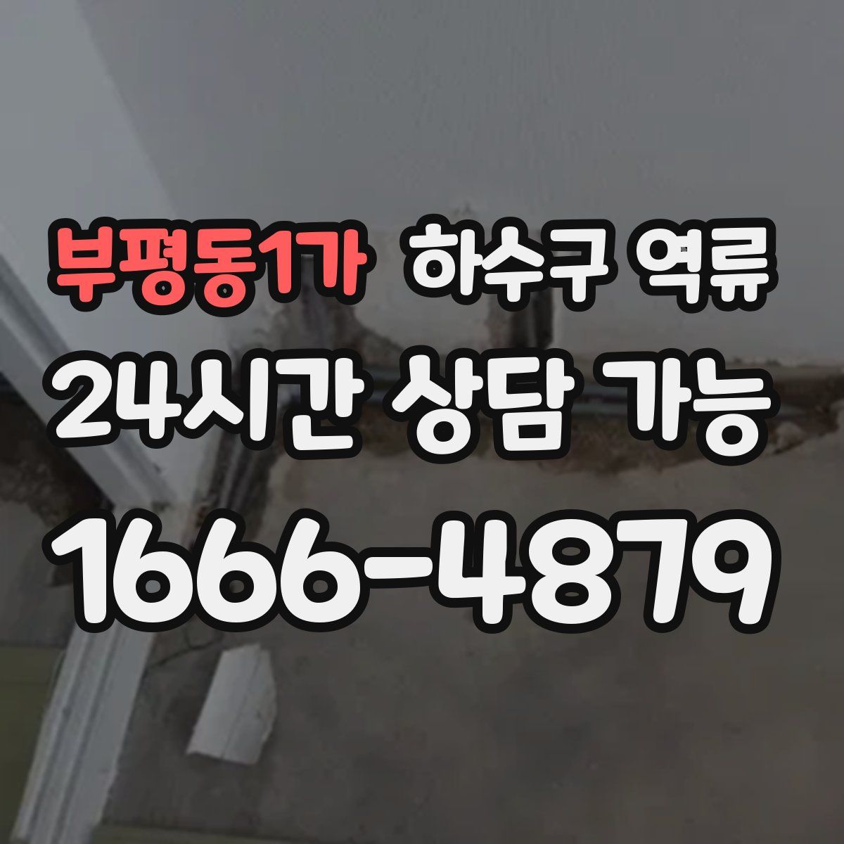 부평동1가 하수구 역류