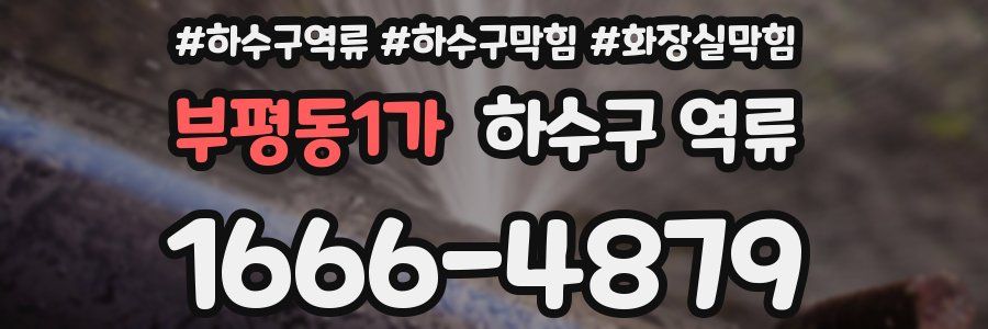 부평동1가 하수구 역류