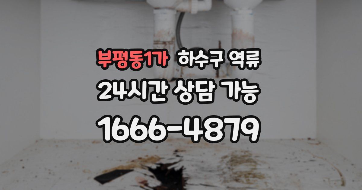 부평동1가 하수구 역류