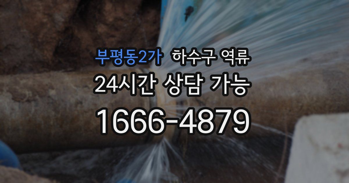 부평동2가 하수구 역류