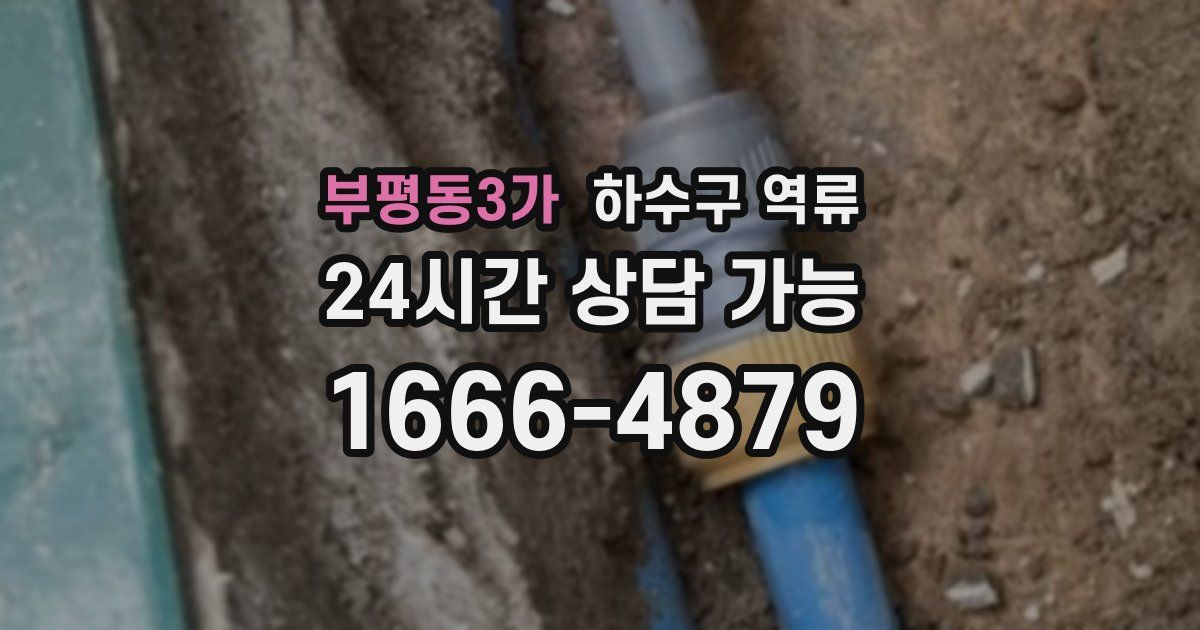 부평동3가 하수구 역류