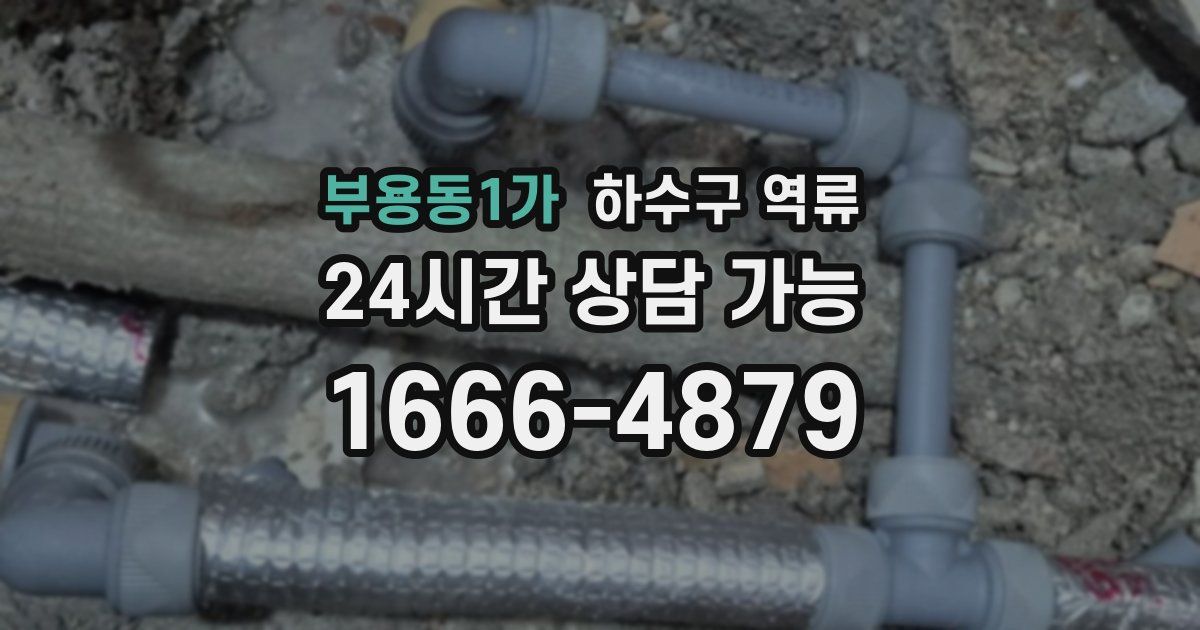 부용동1가 하수구 역류