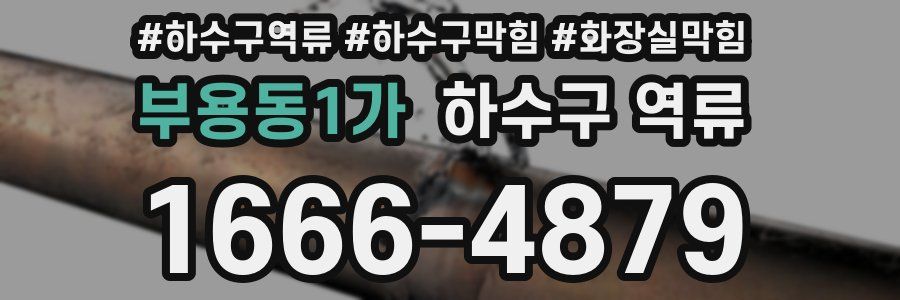 부용동1가 하수구 역류