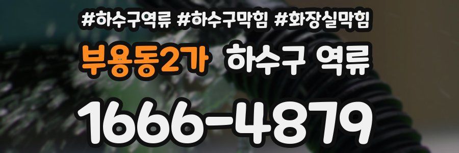 부용동2가 하수구 역류