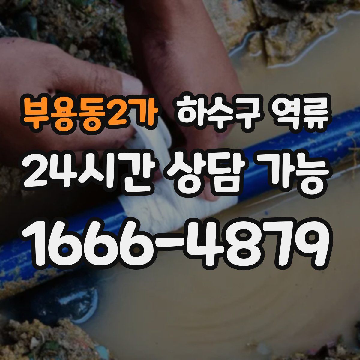 부용동2가 하수구 역류