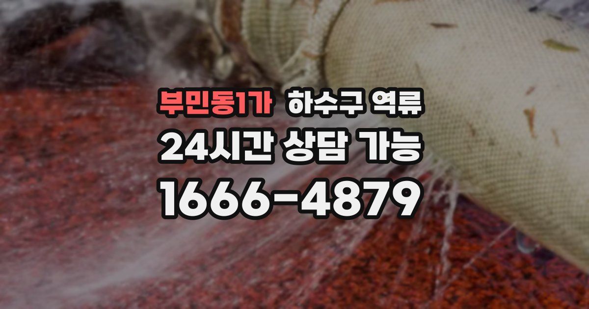 부민동1가 하수구 역류