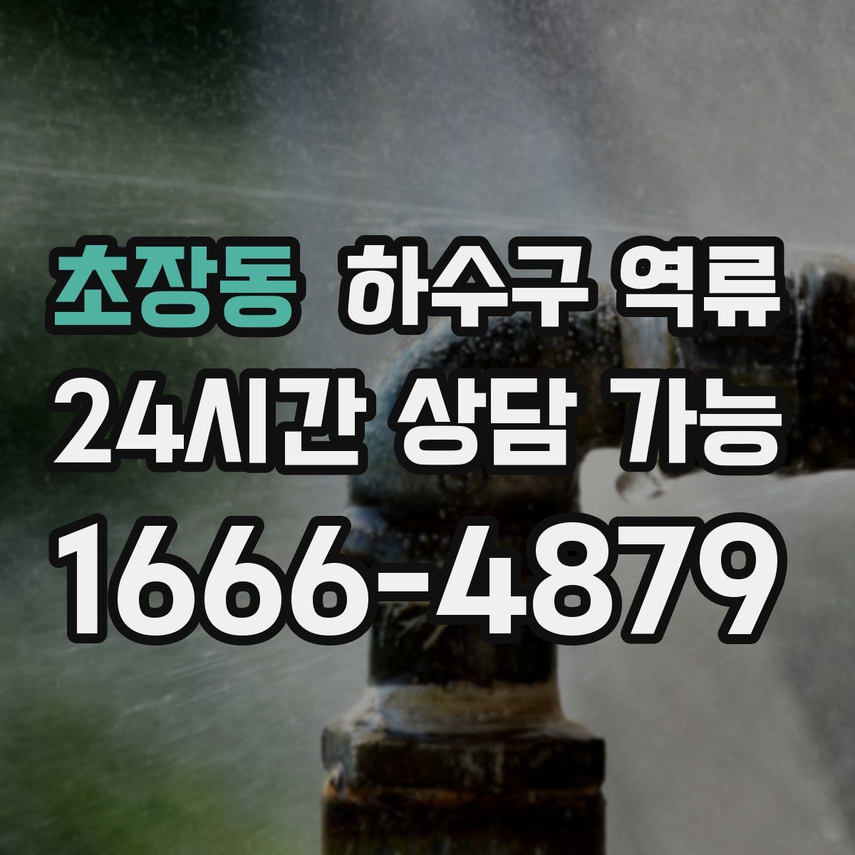 초장동 하수구 역류