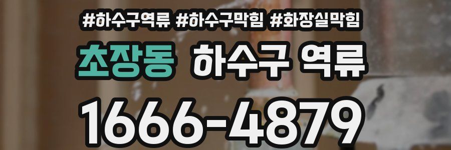 초장동 하수구 역류