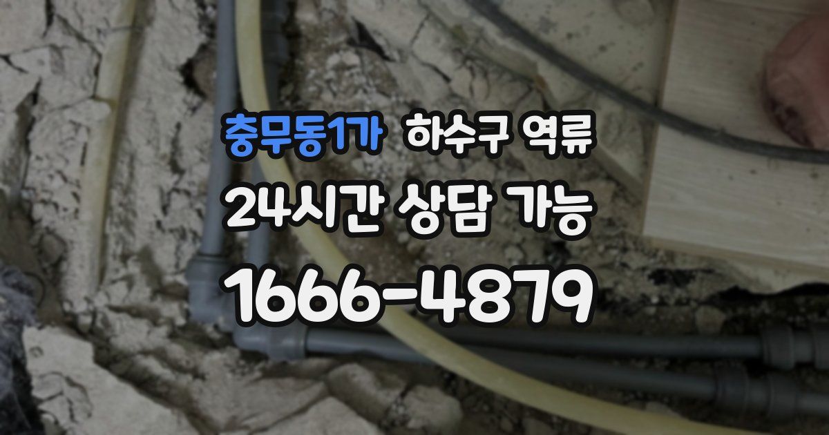 충무동1가 하수구 역류