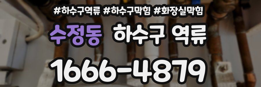 수정동 하수구 역류