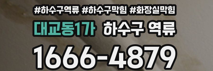 대교동1가 하수구 역류