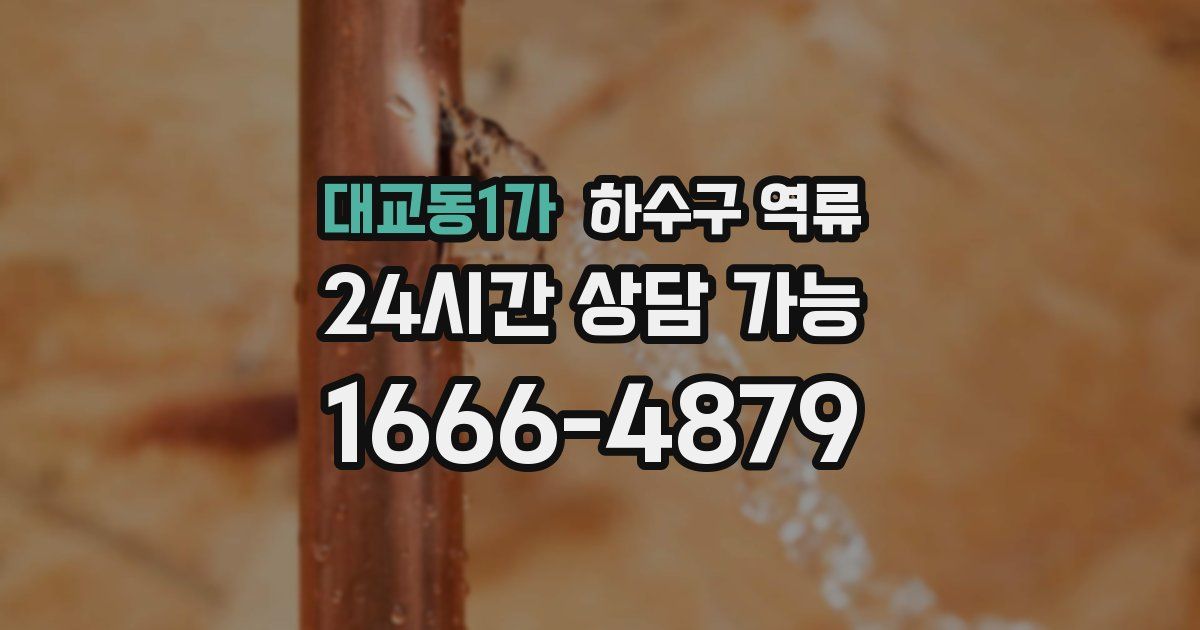 대교동1가 하수구 역류