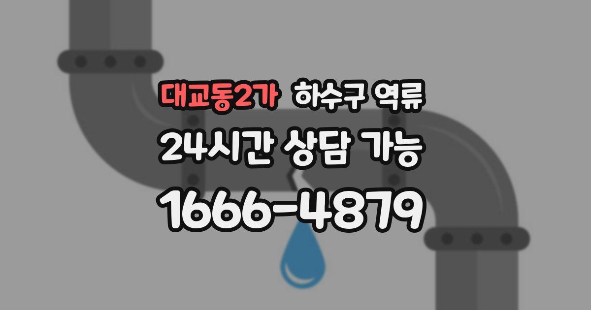 대교동2가 하수구 역류