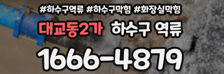 대교동2가 하수구 역류