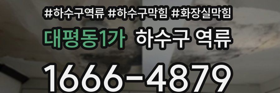 대평동1가 하수구 역류