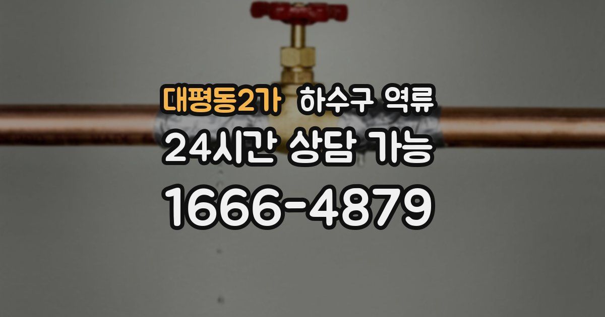 대평동2가 하수구 역류