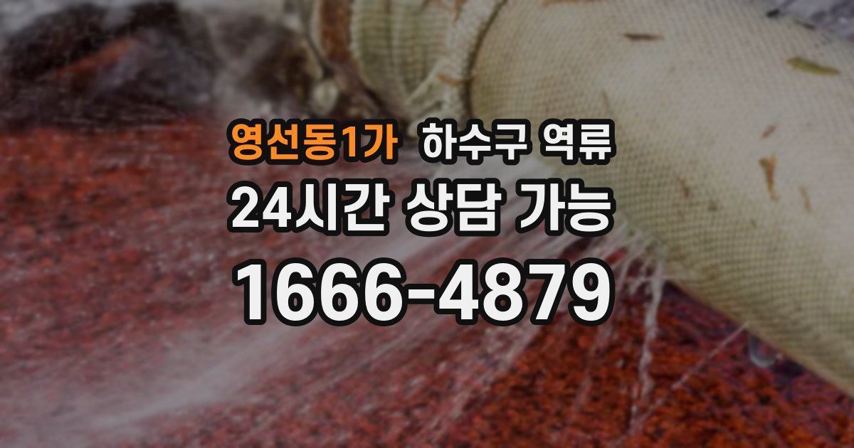 영선동1가 하수구 역류