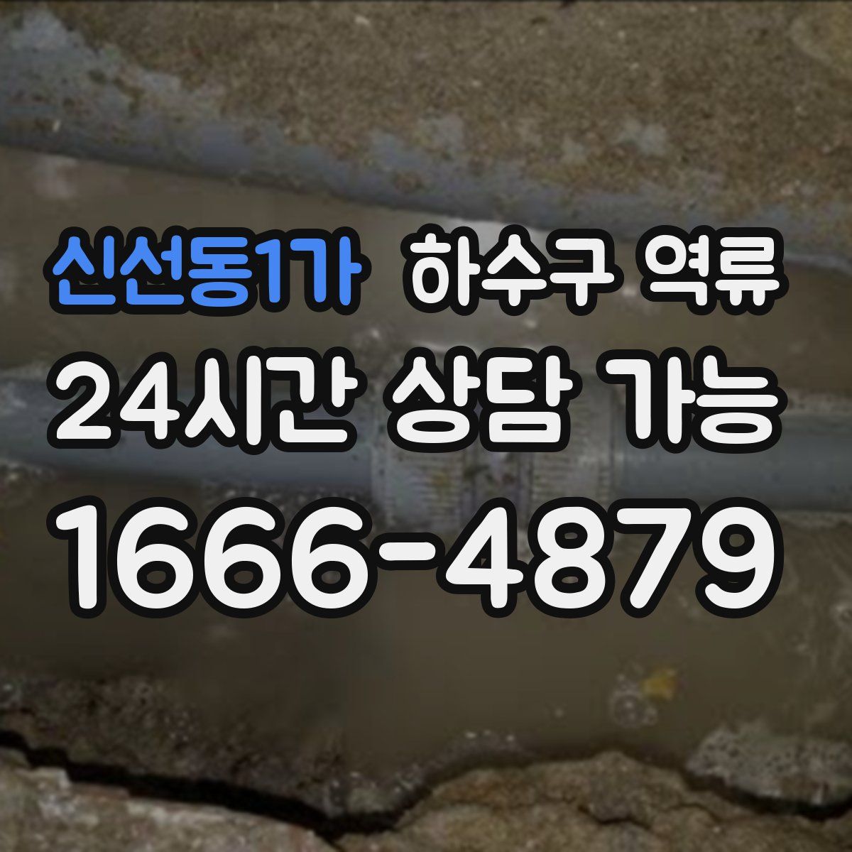신선동1가 하수구 역류