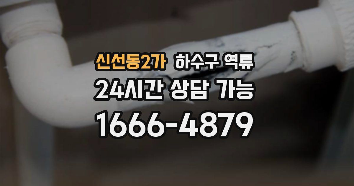 신선동2가 하수구 역류
