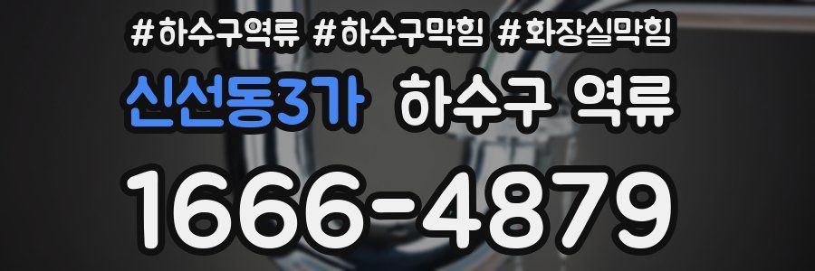신선동3가 하수구 역류