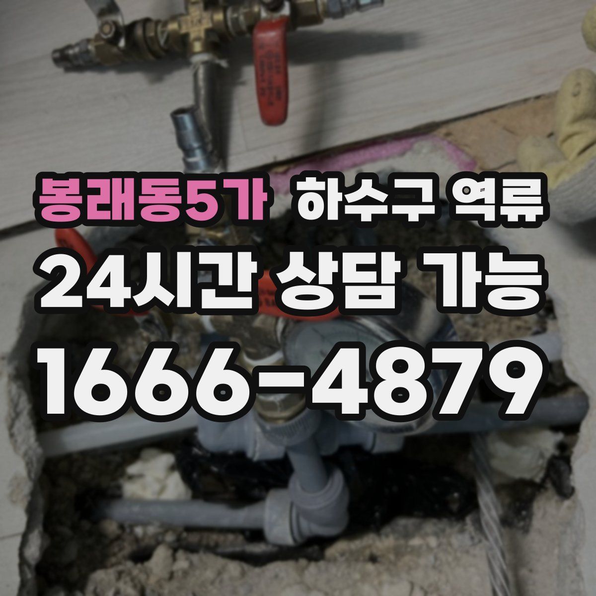 봉래동5가 하수구 역류