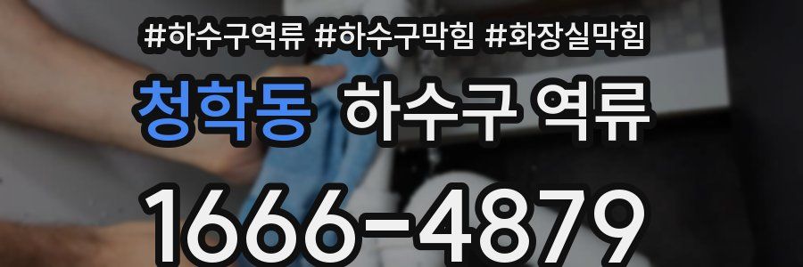 청학동 하수구 역류