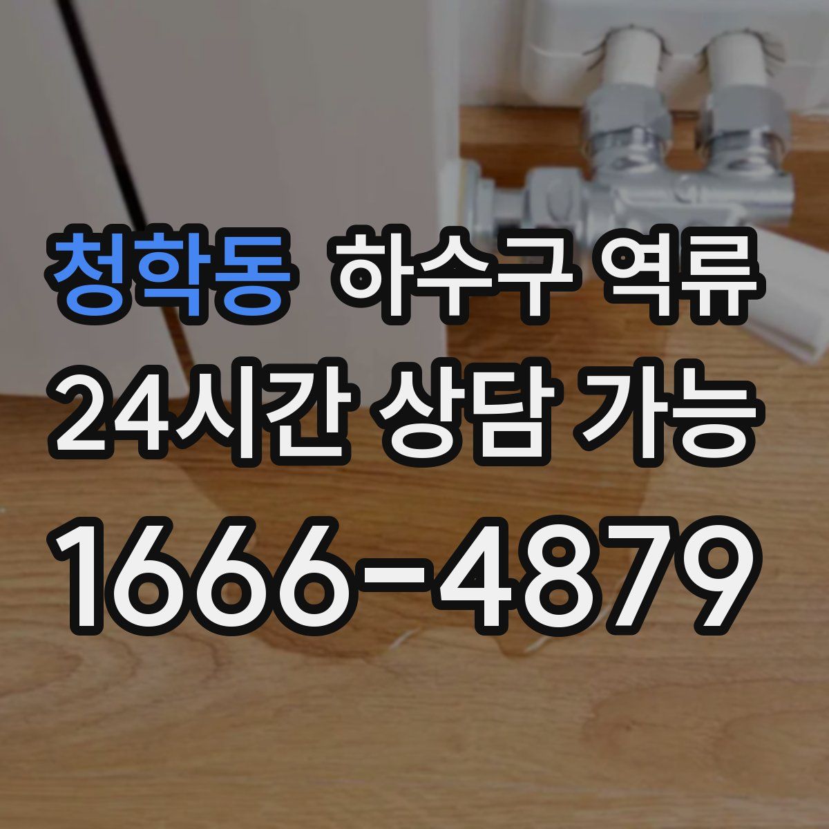 청학동 하수구 역류