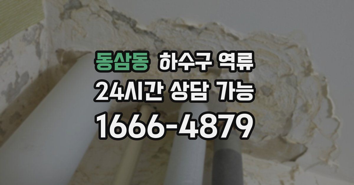 동삼동 하수구 역류