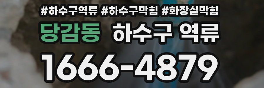 당감동 하수구 역류
