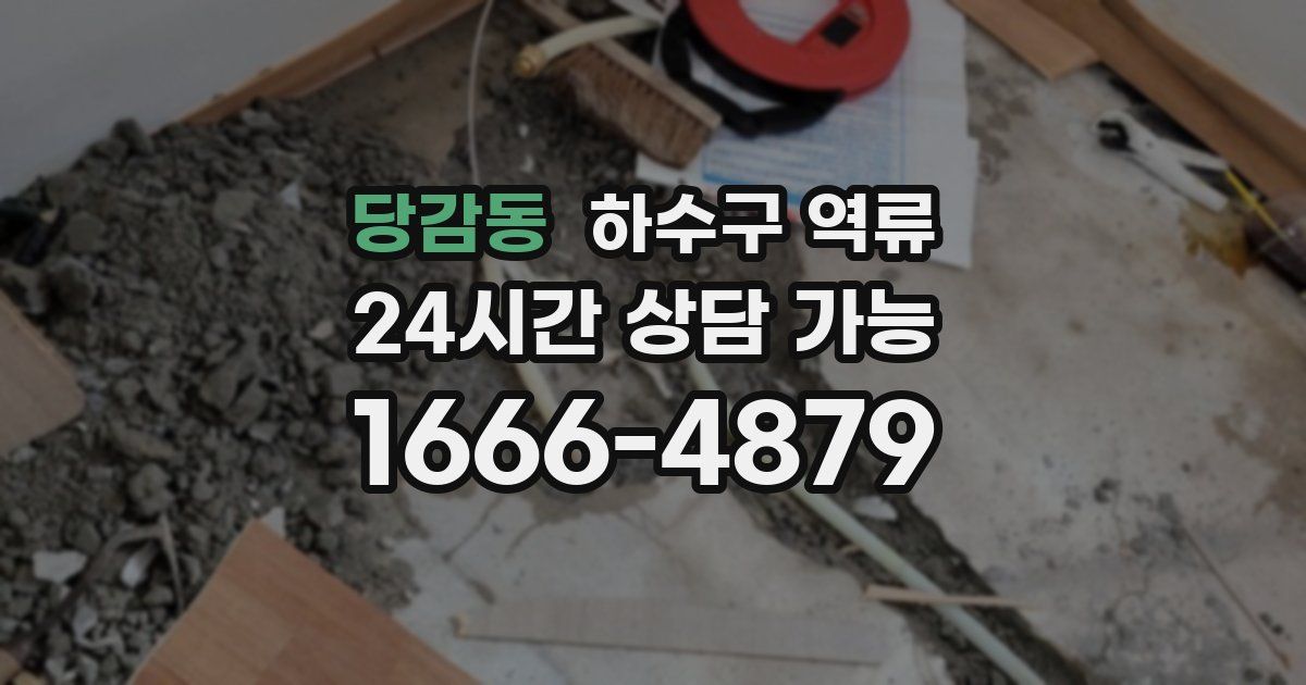 당감동 하수구 역류