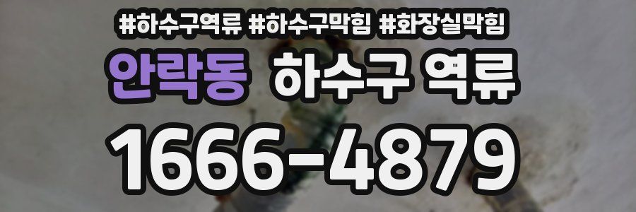 안락동 하수구 역류