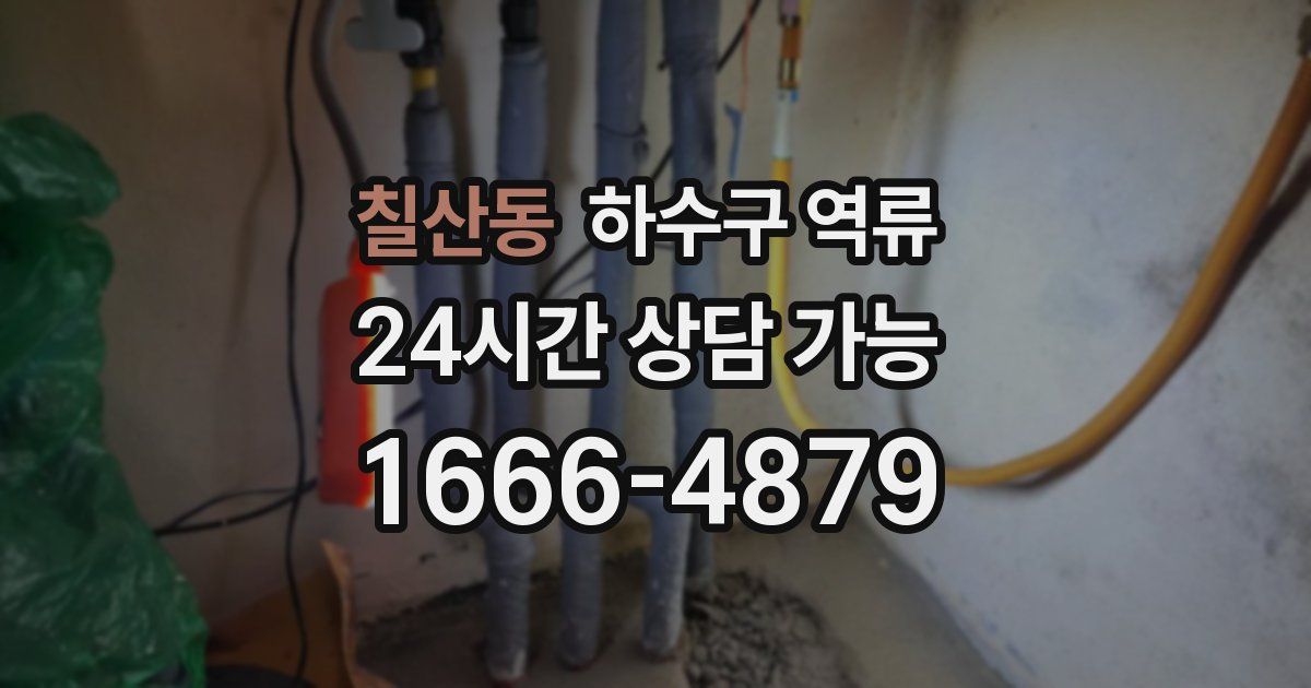 칠산동 하수구 역류