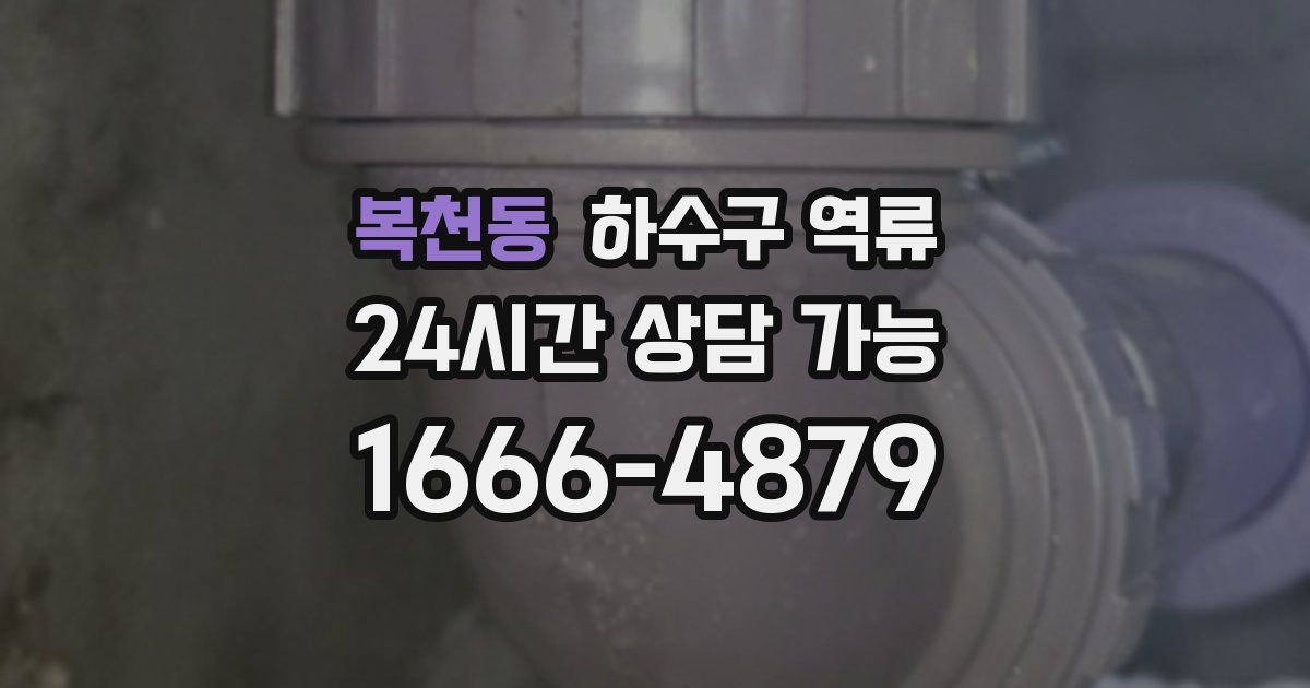 복천동 하수구 역류