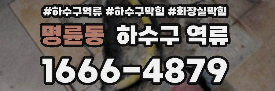 명륜동 하수구 역류