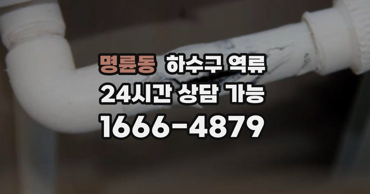 명륜동 하수구 역류