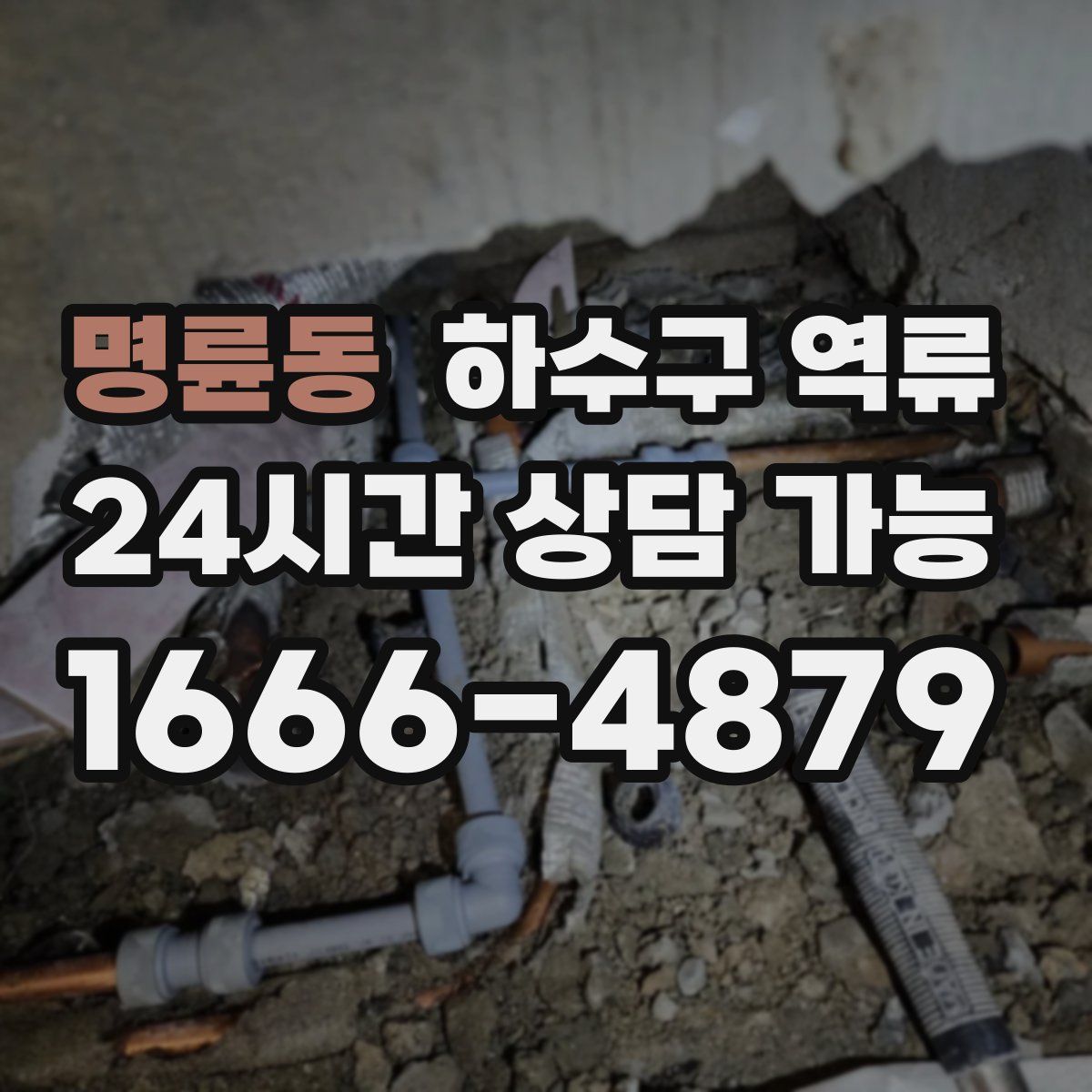 명륜동 하수구 역류