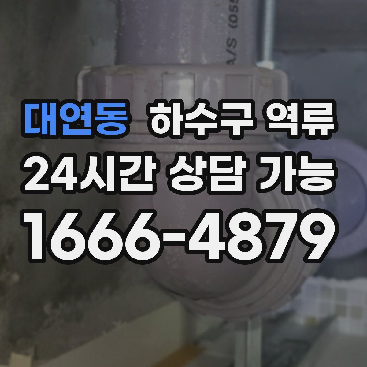 대연동 하수구 역류