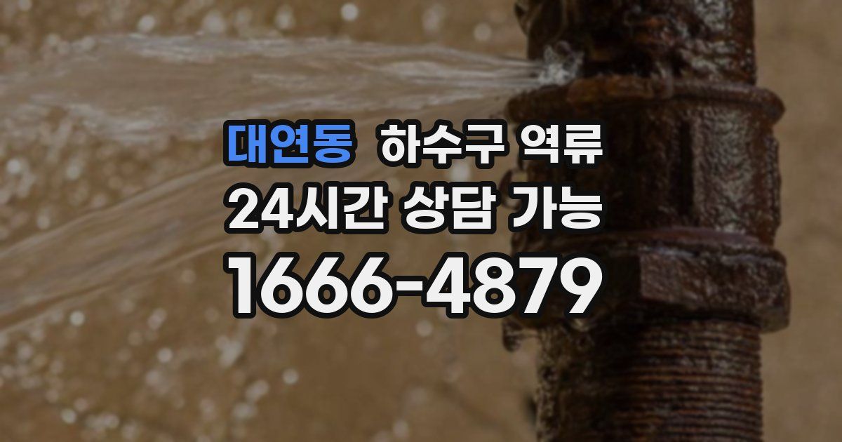 대연동 하수구 역류