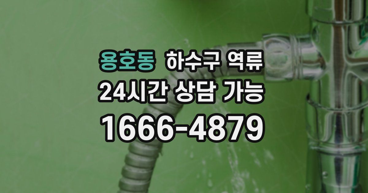 용호동 하수구 역류