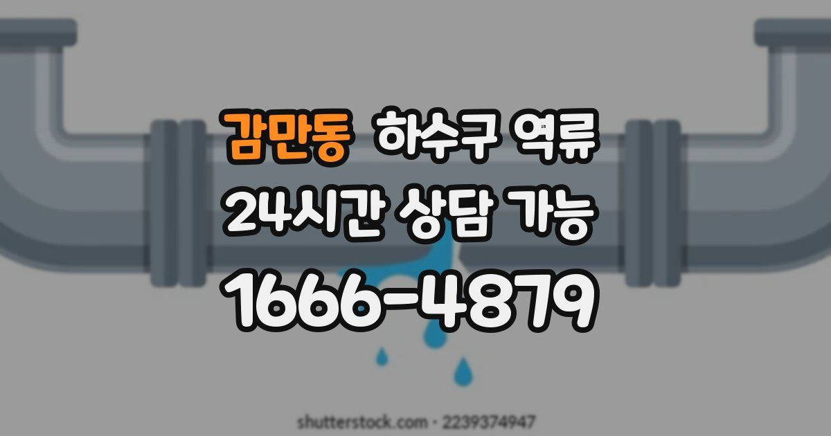 감만동 하수구 역류