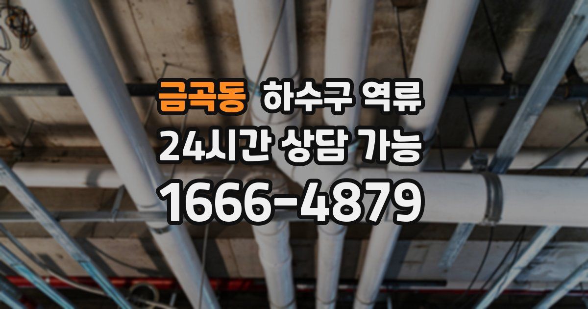 금곡동 하수구 역류