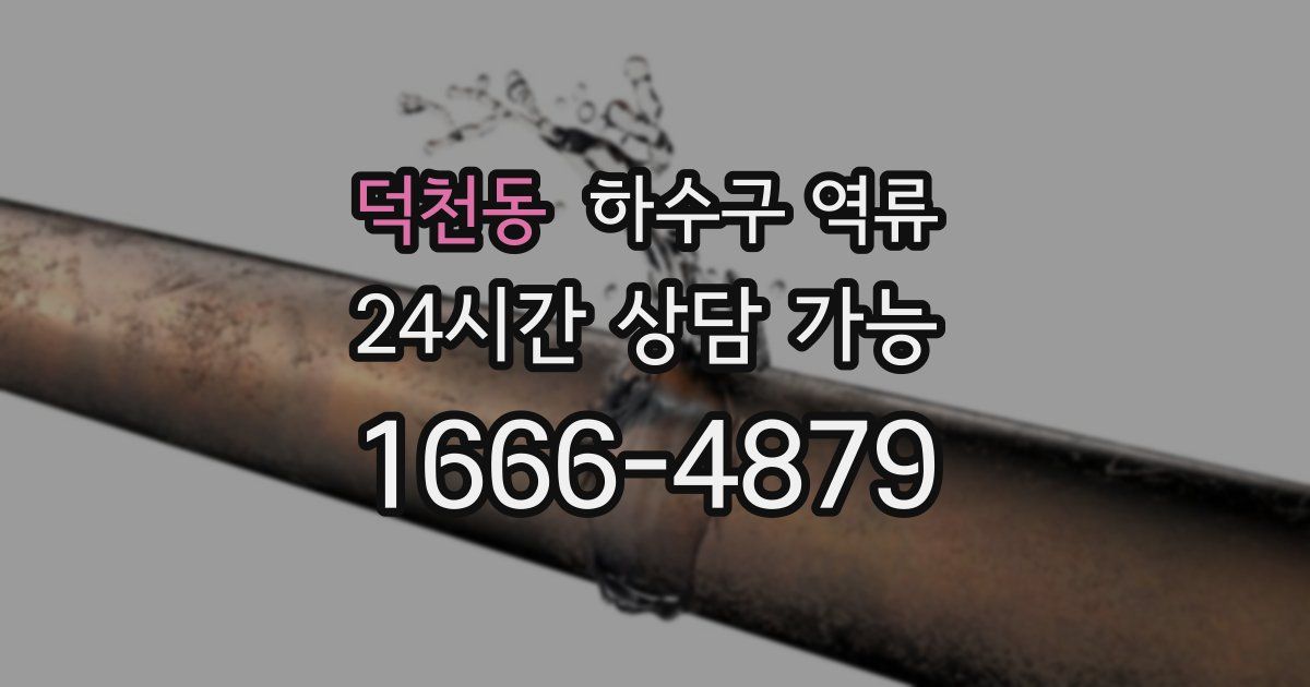 덕천동 하수구 역류