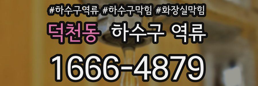 덕천동 하수구 역류