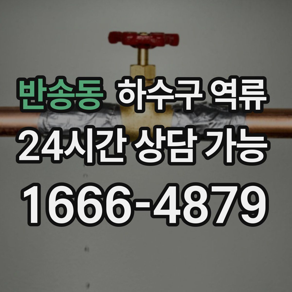 반송동 하수구 역류